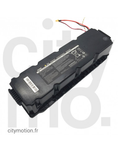 Battery Assembly for Max G30