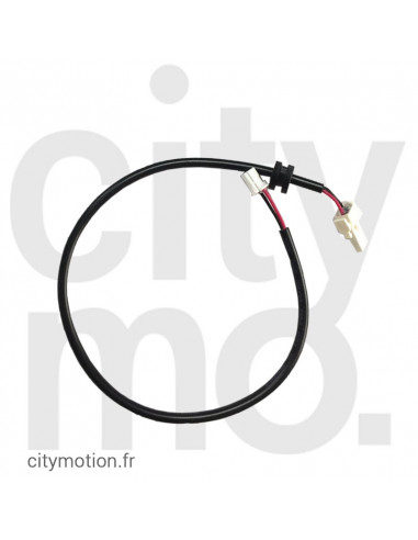 Tail Light Wire